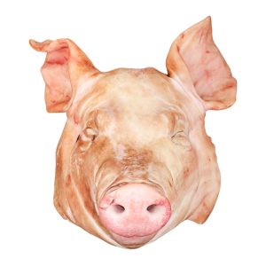 Pork head
